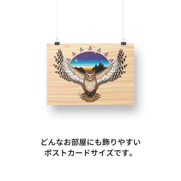  第3張的照片