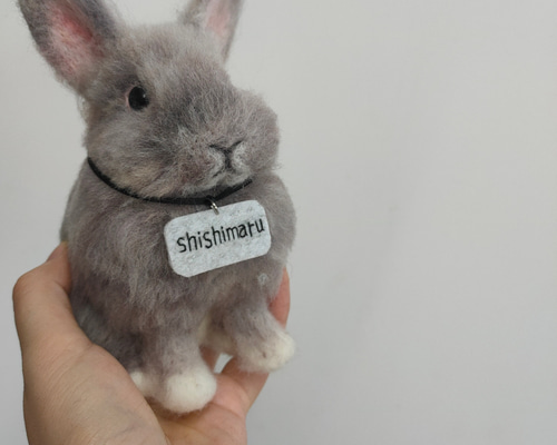 6102eee9163e129e856111eda3b927