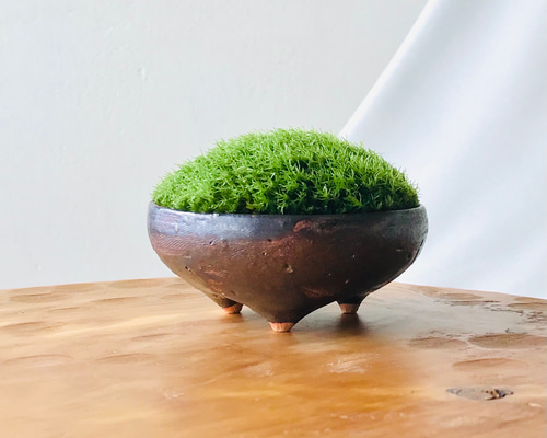 f6fff204a71b84bb615af38e396172