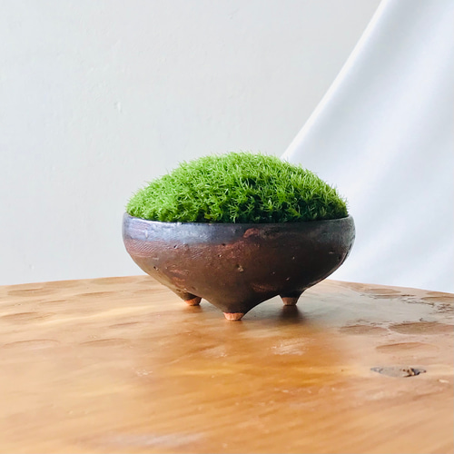 最安プラン ＜姿が美しい 苔鉢 こけ鉢 一輪挿し・花瓶 荒土＞ 三つ足 豆盆栽 鉢・プランター