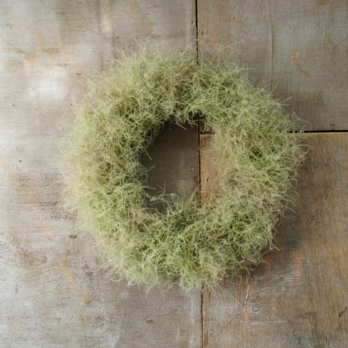 スモークツリーのリース リース atelier-plantsplanet 通販 16005255