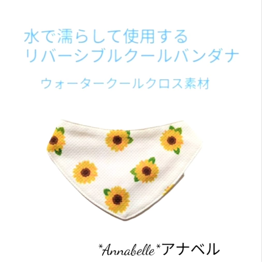 ひまわりです