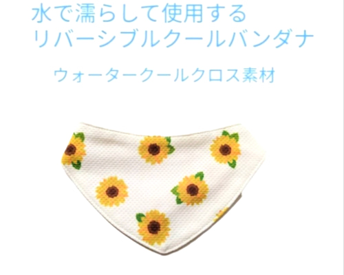 ひまわり様ご確認用 nikkoseed2012_sta1205269239