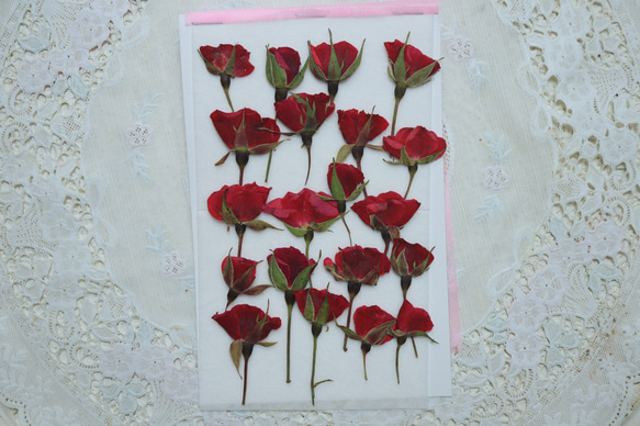 押し花素材バラ20本 その他素材 花mizuki 通販 16005785｜Creema