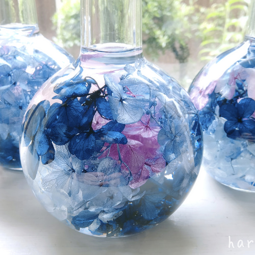 梅雨の彩り心落ち着く紫陽花のハーバリウム(ロイヤルブルー) ハー  