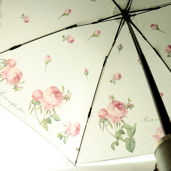 〈ルドゥーテ〉晴雨兼用折りたたみ傘　ロサ・ケンティフォリア柄　収納袋付 5枚目の画像