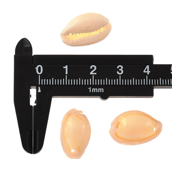 シェルパーツ 貝殻 15～20ｍｍ アイボリー 100個 カウリー 穴あり アクセサリー レジン パーツ BD3128 4枚目の画像