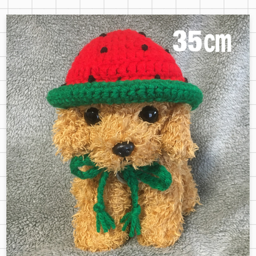 にゃんちページ スイカワンピース帽子セット d5e3d6e81815455dba177d99a90644