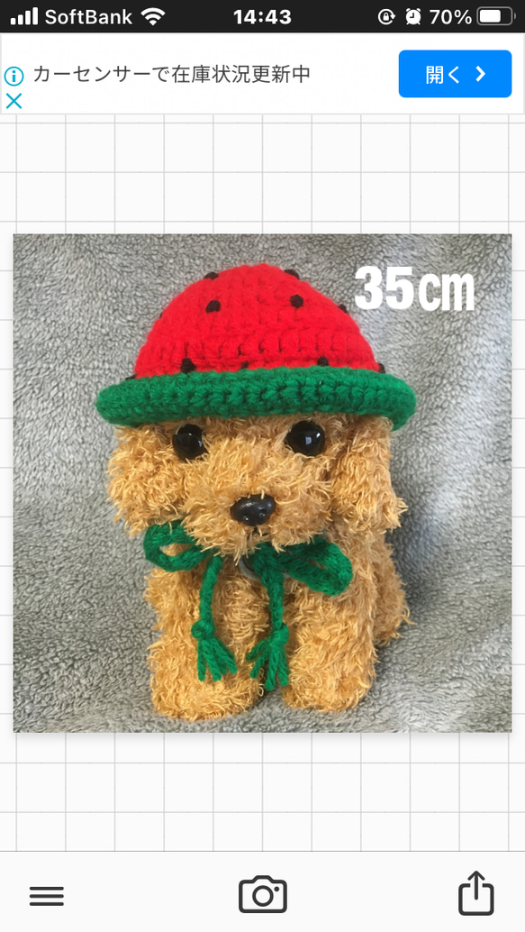 小型犬用帽子・35㎝❤️スイカの帽子 ペット服・アクセサリー