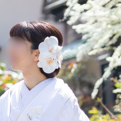 大きな胡蝶蘭髪飾りセット＊カスミ草・パール追加可能＊ヘッドドレス＊ウェディング＊前撮り＊和装＊白無垢＊コチョウラン 4枚目の画像