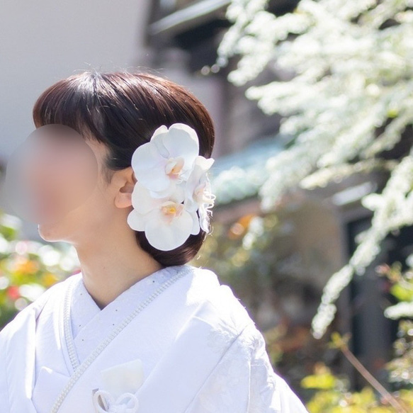 大きな胡蝶蘭髪飾りセット＊カスミ草・パール追加可能＊ヘッドドレス＊ウェディング＊前撮り＊和装＊白無垢＊コチョウラン 4枚目の画像
