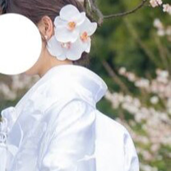 大きな胡蝶蘭髪飾りセット＊カスミ草・パール追加可能＊ヘッドドレス＊ウェディング＊前撮り＊和装＊白無垢＊コチョウラン 6枚目の画像