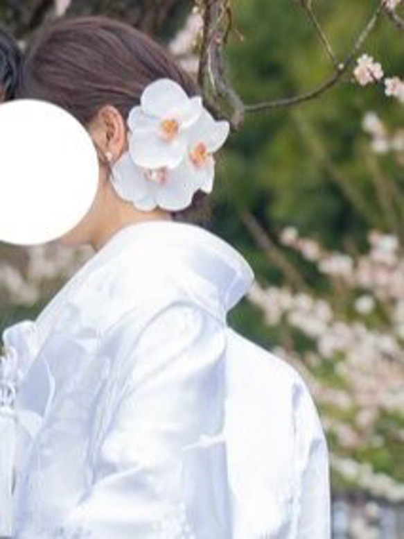 大きな胡蝶蘭髪飾りセット＊カスミ草・パール追加可能＊ヘッドドレス＊ウェディング＊前撮り＊和装＊白無垢＊コチョウラン 6枚目の画像