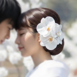 大きな胡蝶蘭髪飾りセット＊カスミ草・パール追加可能＊ヘッドドレス