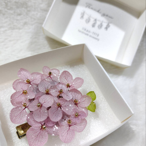 本物の紫陽花アナベルブローチクリップ ヘアクリップ 帯留め 