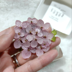 本物の紫陽花アナベルブローチクリップ　ヘアクリップ　帯留め　オーキッド 3枚目の画像