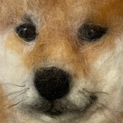 羊毛フェルト　犬ポートレート　うちの子オーダーメイド肖像画　30cm×30cm 2枚目の画像