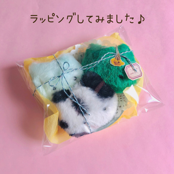 なんか、ねこ饅頭セット♡③ 6枚目の画像