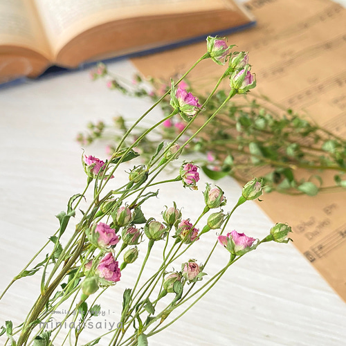 ハンドメイド　花材　ドライフラワー　リトルウッズ　薔薇　r-5 リトルウッズドライフラワー ドライフラワー *mogera* 通販