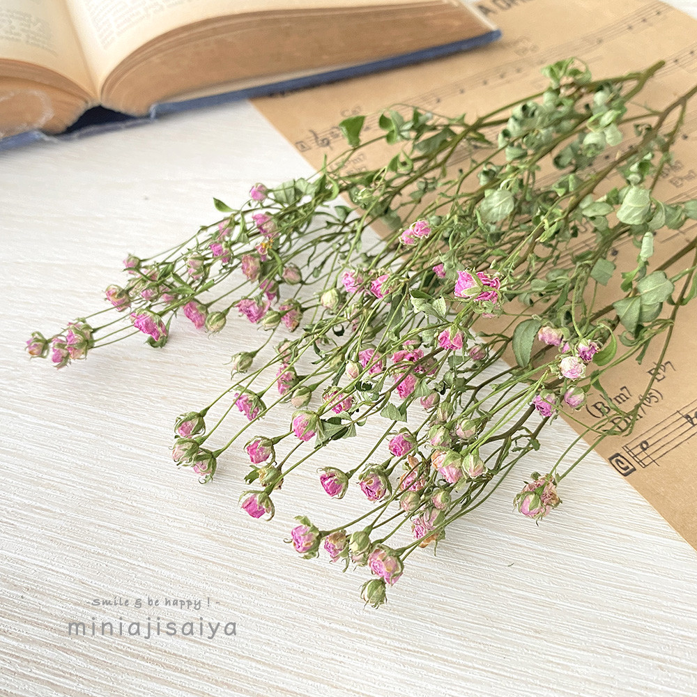 ハンドメイド　花材　ドライフラワー　ホワイトウッズ　薔薇　r-7 再入荷 】世界最小のバラ リトルウッズ ピンク 国産【 ドライ