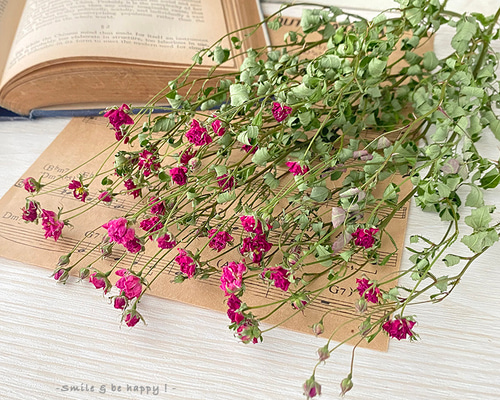 ハンドメイド　花材　ドライフラワー　リトルウッズ　薔薇　r-6 再入荷 】世界最小のバラ リトルウッズ ピンク 国産【 ドライフラワー