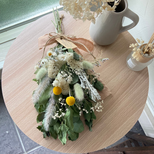 再販】人気クラスペディア ユーカリ ドライフラワー グリーン  