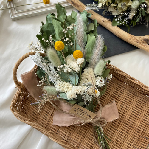 再販】人気クラスペディア ユーカリ ドライフラワー グリーン  