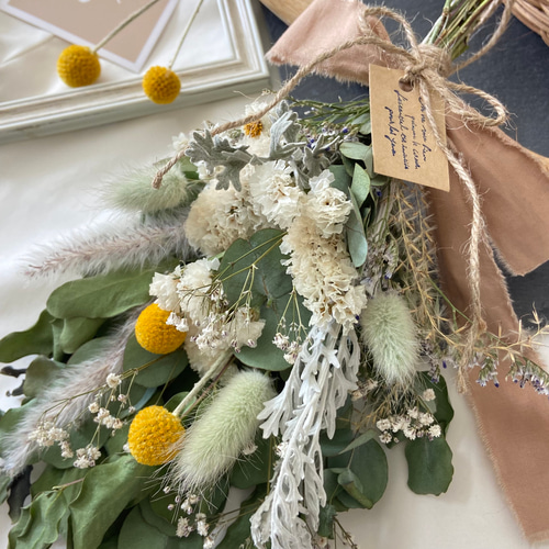 再販】人気クラスペディア ユーカリ ドライフラワー グリーン  