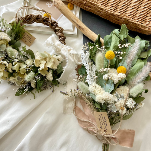 再販】人気クラスペディア ユーカリ ドライフラワー グリーン  