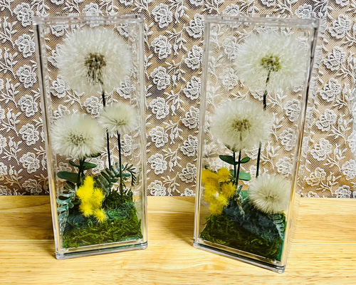 d985e24b7539d273053a7bc0921a9f