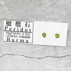 ✴︎No.519-a✴︎希少✴︎鉱物標本✴︎ ビルマ産 宝石質 ペリドットのピアス a 2枚目の画像