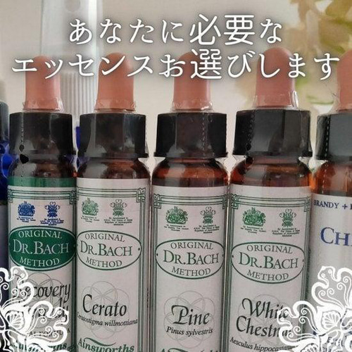 フラワーエッセンス セラトー バッチ バッチフラワーエッセンス フラワーエッセンス セラトー バッチ バッチフラワーエッセンス