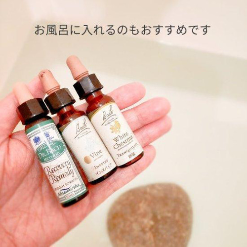 フラワーエッセンス セラトー バッチ バッチフラワーエッセンス