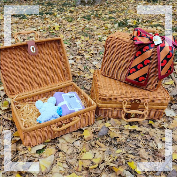 手編みバッグ、レディースミニトートバッグ。 夏のピクニック、海辺のビーチ旅行バッグ 6枚目の画像