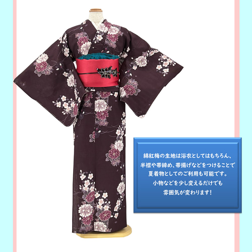 京染浴衣 浴衣単品 「桜と菊と風鈴」 薄茶地 箔入り 綿紅梅 綿