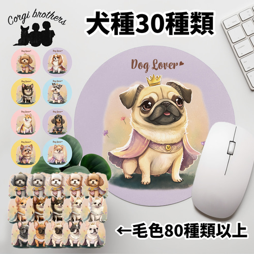 イヌパシーカラー 首輪Mホームステーション イヌパシーカラー 首輪Mホームステーション（愛犬のこころと