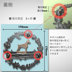  第2張的照片