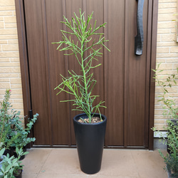 dc77b3952b2954f042dca08ef8a5d4