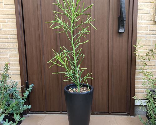 dc77b3952b2954f042dca08ef8a5d4