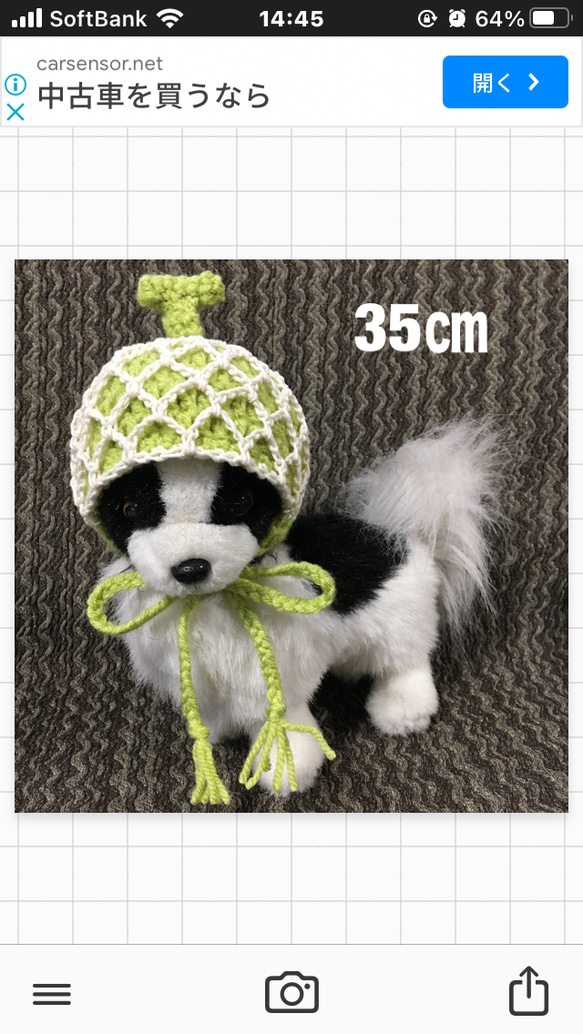 小型犬用帽子・35㎝❤️メロンの帽子 1枚目の画像