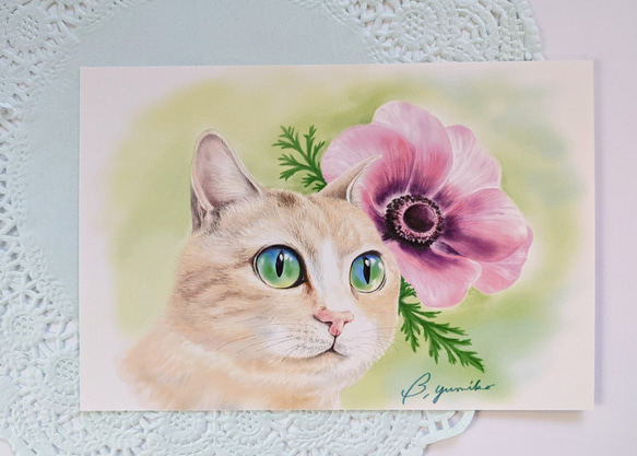 ❸花と猫 (３枚セット) 4枚目の画像