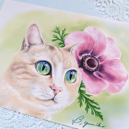 猫の絵　花 猫 花 A5サイズ キャット フラワー イラスト Mio 4 イラスト