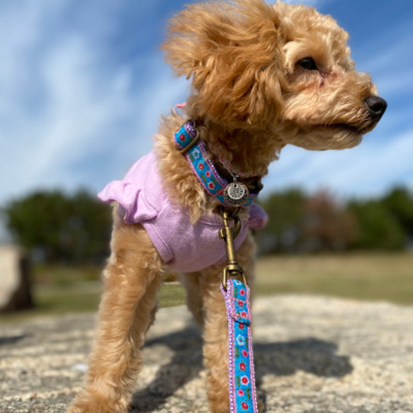 犬リード 幅1.9㎝ Daisy 2枚目の画像