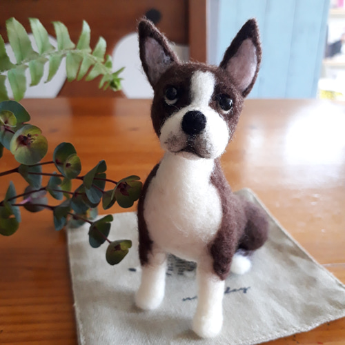 ボストンテリア 羊毛フェルト manahata 通販 16011454｜Creema