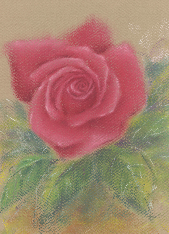薔薇（パステル画・マット紙付き） 2枚目の画像