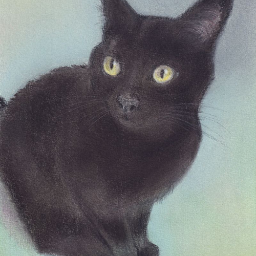 見つめる先は（パステル画 原画） 絵画 にゃんずら 通販 16011638