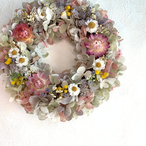 ちょこっと飾りたい！帝王貝細工のミニリース リース 陽だまりのへや