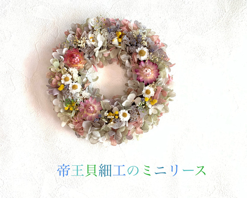 春待ち＊桜色のスターチスと帝王貝細工のナチュラルリース 670172f6ee46fcfa399b42fd3f626d