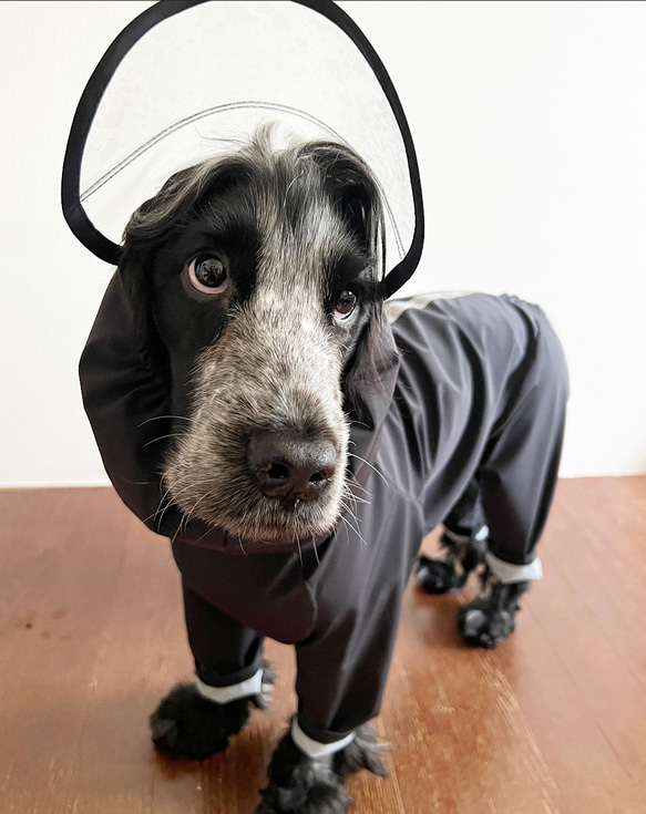 新色追加‼️雨の日の散歩に　中型犬用レインスーツ　4色 17枚目の画像