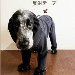 新色追加‼️雨の日の散歩に　中型犬用レインスーツ　4色 6枚目の画像